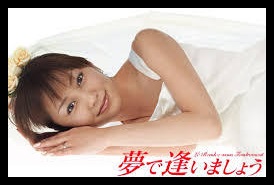 矢田亜希子,女優,若い頃,出演作品