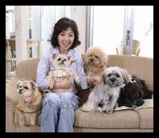 浅田美代子,女優,タレント,歌手,愛犬家